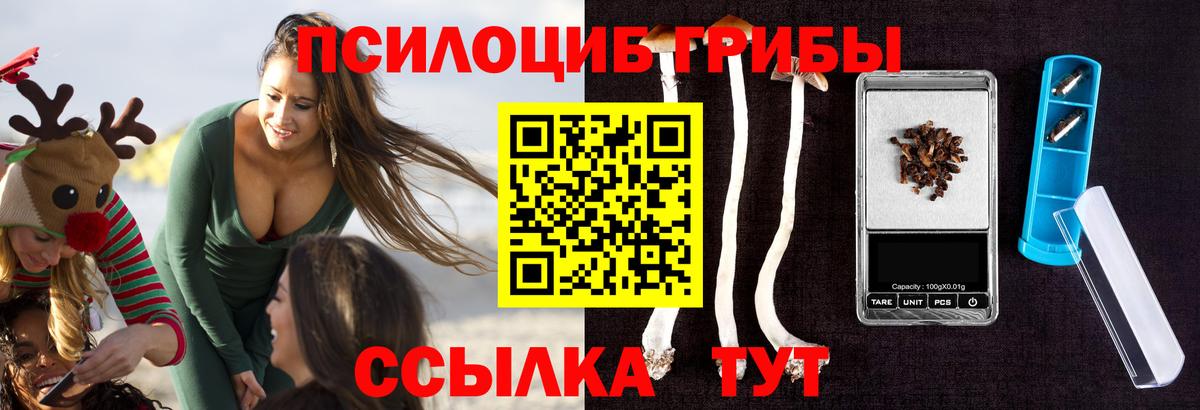 Ликино-Дулёво  Псилоцибиновые грибы MAGIC MUSHROOMS  Вход с VPN 